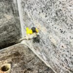 WhatsApp Image 2026-02-05 at 10.09.39 PM (1)