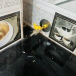 WhatsApp Image 2026-02-05 at 5.09.18 PM