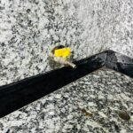 WhatsApp Image 2026-02-05 at 5.09.22 PM (1)